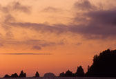 Olympic National Park