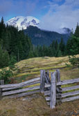 Mt. Rainier National Park